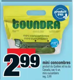Super C mini concombres | mini cucumbers offer