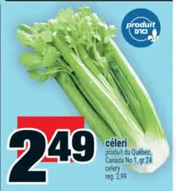 Super C céleri | celery offer