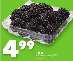 Marche Ami MÛRES offer