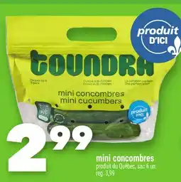 Marche Ami MINI CONCOMBRES offer