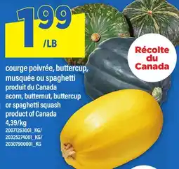 Maxi COURGE POIVRÉE, BUTTERCUP, MUSQUÉE OU SPAGHETTI | ACORN, BUTTERNUT, BUTTERCUP OR SPAGHETTI SQUASH offer