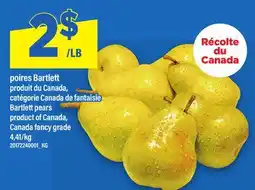 Maxi POIRES BARTLETT | BARTLETT PEARS offer