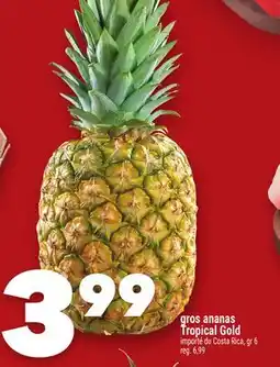 Marche Ami GROS ANANAS TROPICAL GOLD offer