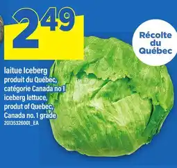 Maxi LAITUE ICEBERG | ICEBERG LETTUCE offer