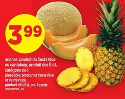 Maxi ANANAS, PRODUIT DU COSTA RICA OU CANTALOUP | PINEAPPLE, PRODUCT OF COSTA RICA OR CANTALOUPE offer
