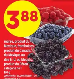 Maxi MÛRES, FRAMBOISES OU BLEUETS offer