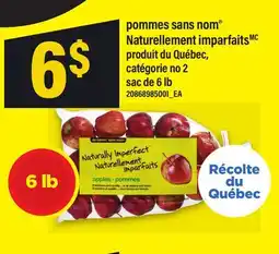 Maxi POMMES SANS NOM NATURELLEMENT IMPARFAITS, SAC DE offer