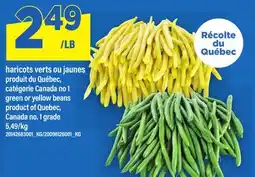 Maxi HARICOTS VERTS OU JAUNES | GREEN OR YELLOW BEANS offer