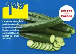 Maxi CONCOMBRES ANGLAIS | ENGLISH CUCUMBERS offer