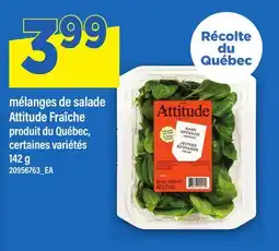 Maxi MÉLANGES DE SALADE ATTITUDE FRAÎCHE offer