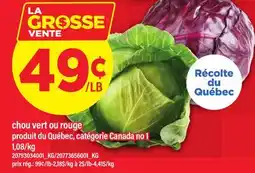 Maxi CHOU VERT OU ROUGE offer