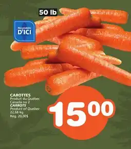 Marches Tradition CARROTS offer