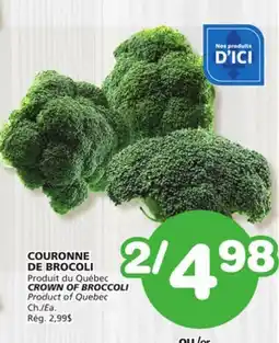 Marches Tradition CROWN OF BROCCOLI offer