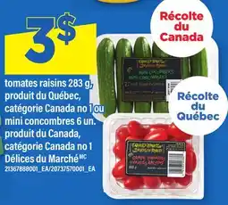 Maxi TOMATES RAISINS 283 G, MINI CONCOMBRES 6 UN offer