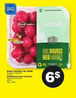 Marches Tradition LE CIEL GREENHOUSE RED RADISHES offer