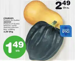 Marches Tradition SQUASH offer