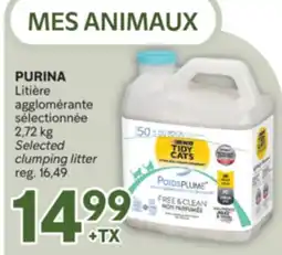 Brunet PURINA Litière agglomérante sélectionnée offer