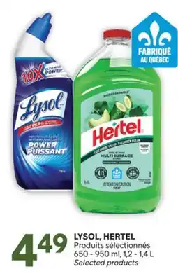 Brunet LYSOL, HERTEL Products offer
