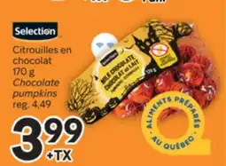 Brunet Chocolate pumpkins offer