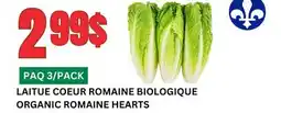 Marches Tau LAITUE COEUR ROMAINE BIOLOGIQUE offer