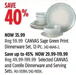 Canadian Tire Canvas sage green print dinnerware set offer