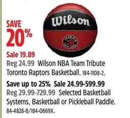 Canadian Tire Wilson NBA Team Tribute Toronto Raptors Basketball offer