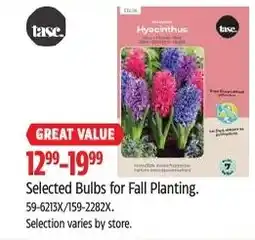 Canadian Tire Tase Selected Bulbs for Fall Planting offer