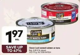 Giant Tiger Clover Leaf canned salmon or tuna offer