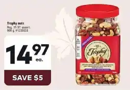 Giant Tiger Trophy nuts offer
