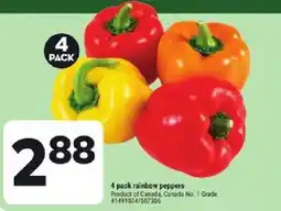 Giant Tiger rainbow peppers offer