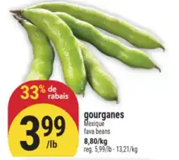 Marché Adonis gourganes | fava beans offer