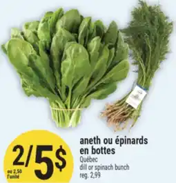 Marché Adonis ANETH OU ÉPINARDS EN BOUTE | DILL OR SPINACH BUNCH offer