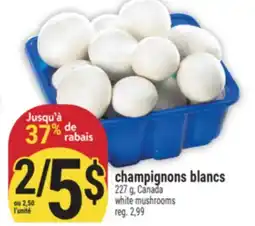 Marché Adonis champignons blancs offer
