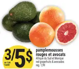 Marché Adonis pamplemousses rouges et avocats | red grapefruits & avocados offer