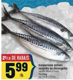 Marché Adonis maquereaux entiers surgelées ou décongelées | mackerel defrost or frozen offer