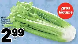 Metro celeri offer