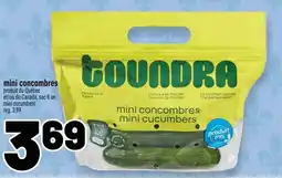 Metro Goundra mini cucumbers offer