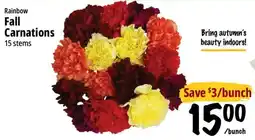 Farm Boy Rainbow Fall Carnations offer