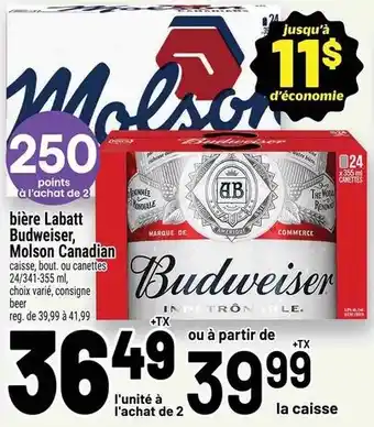 Budweiser beer