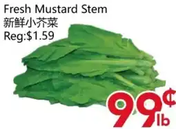Yours Food Mart Fresh Mustard Stem offer