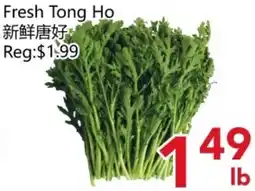 Yours Food Mart Fresh Tong Ho offer