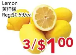 Yours Food Mart Lemon offer
