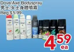 Yours Food Mart Dove/Axe Bodyspray offer