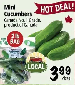 Farm Boy Mini Cucumbers offer