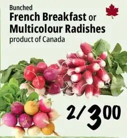 Farm Boy Bunched French Breakfast or Multicolour Radishes offer