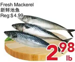 Yours Food Mart Fresh Mackerel offer