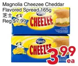 Yours Food Mart Magnolia Cheezee Cheddar Flavored Spread offer