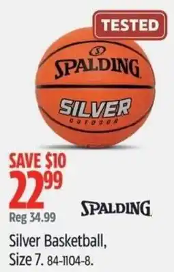 Canadian Tire Spalding silver basketball offer