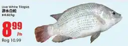 Btrust Supermarket Live White Tilapia offer