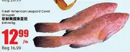 Btrust Supermarket American Leopard Coral Grouper offer